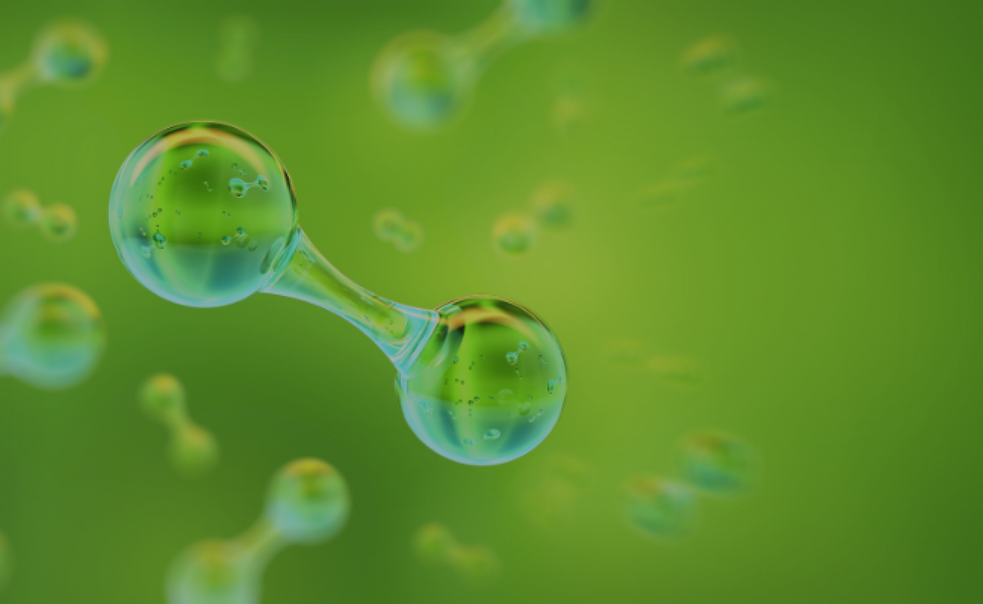 Green Hydrogen and the Energy Market