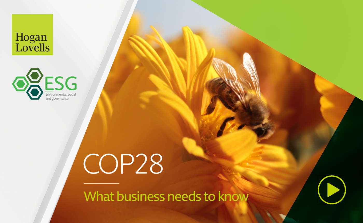 COP28: What Businesses Need to Know