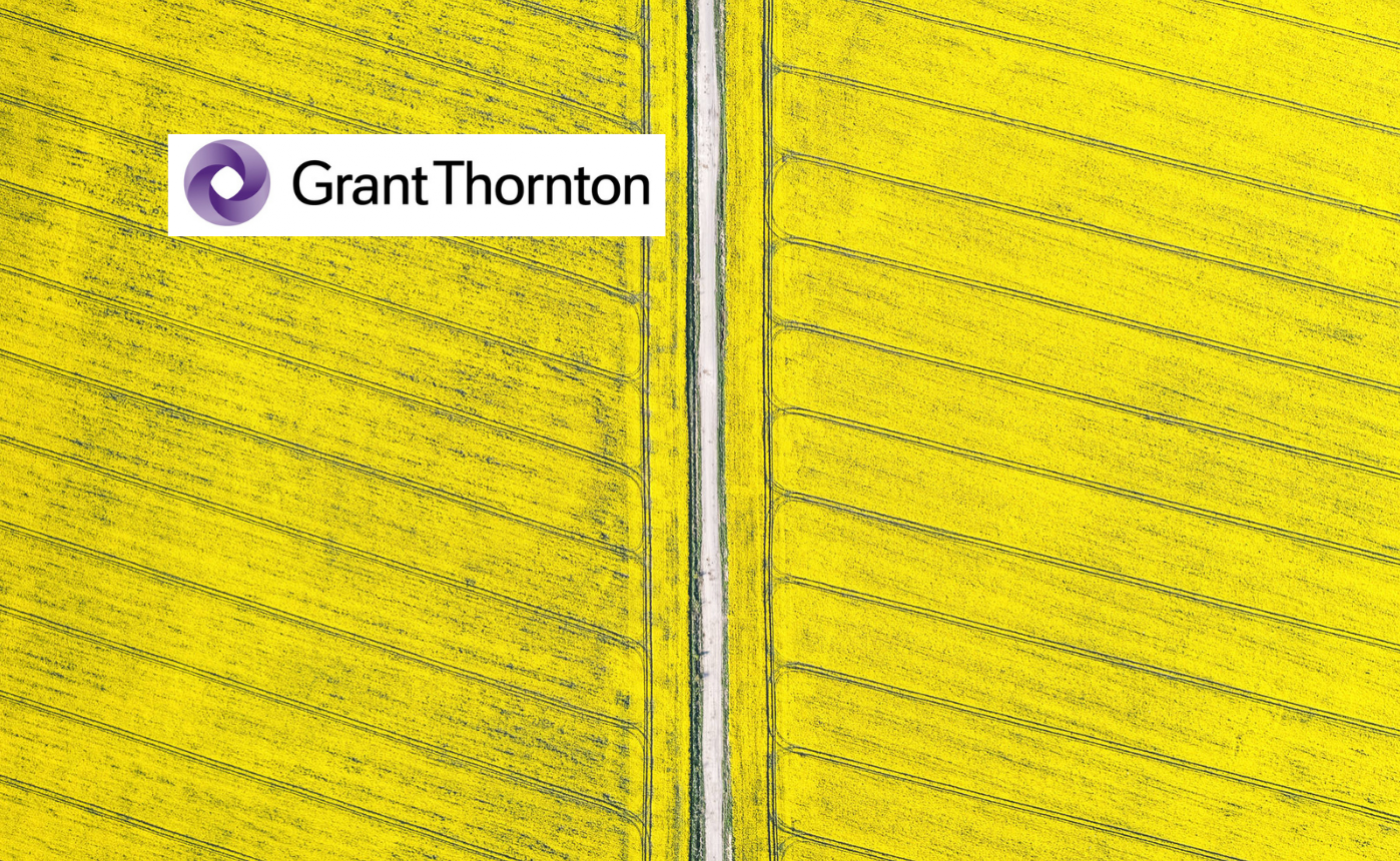 ESG and Access to Capital: The Mid-market Needs to Stay Alert