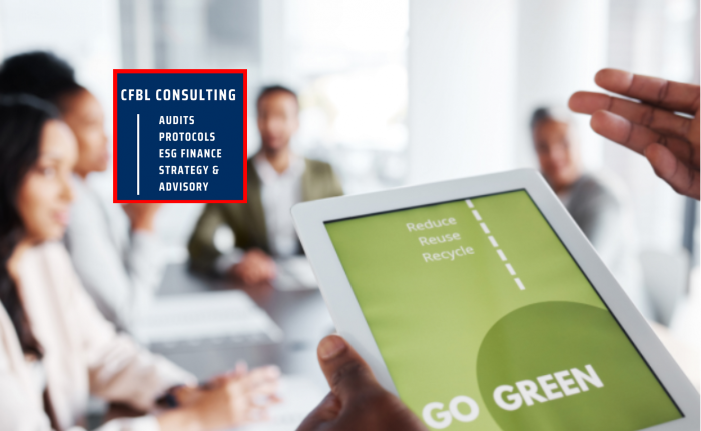The Integral Role of ESG in Contemporary Infrastructure Development
