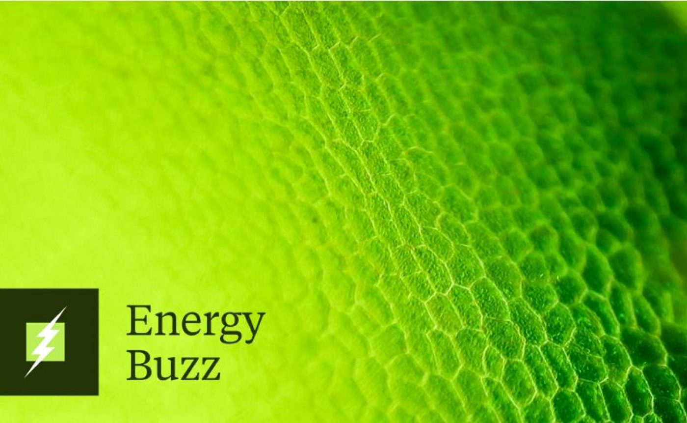Energy Buzz: Powering the Future: Bridging the UK’s Grid Gap