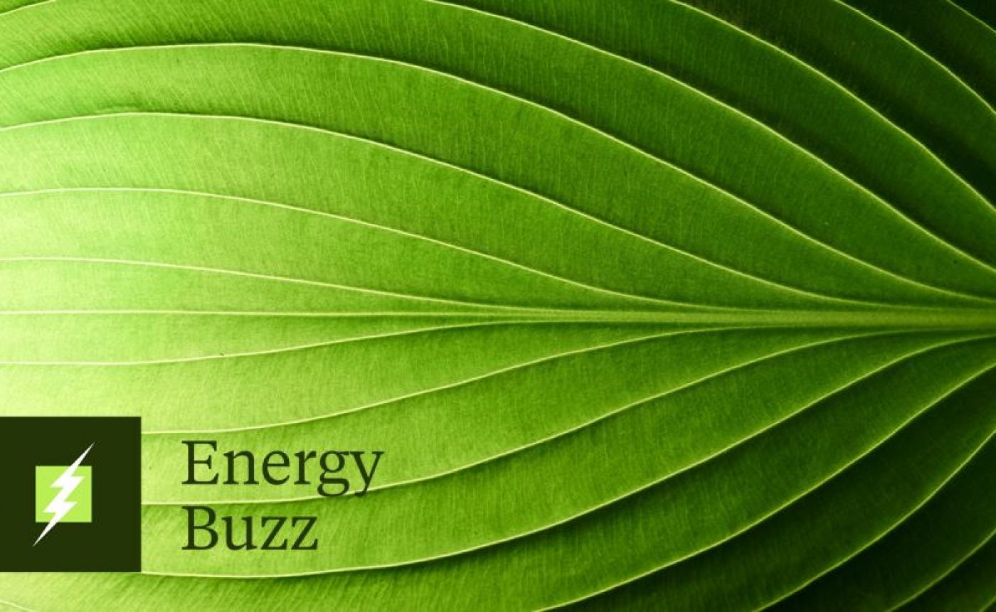 Energy Buzz: Clean Power 2030