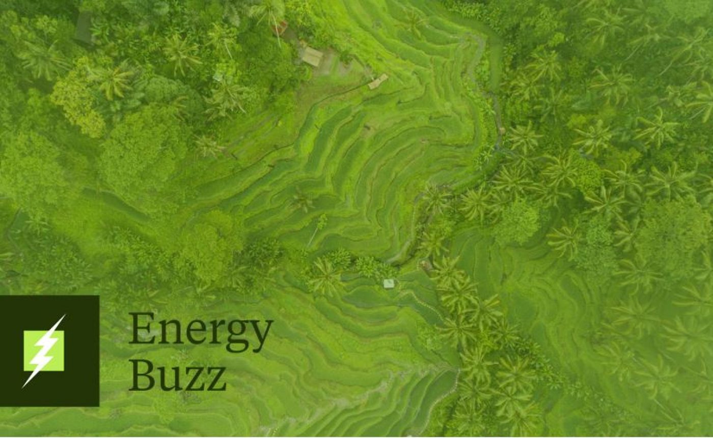 Energy Buzz: UK ETS Evolution | Preparing for a Post-2030 Carbon Market