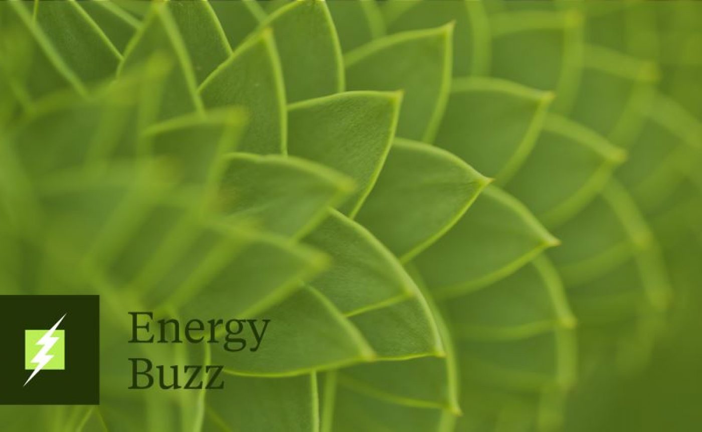 Energy Buzz: Clean Industry Bonus