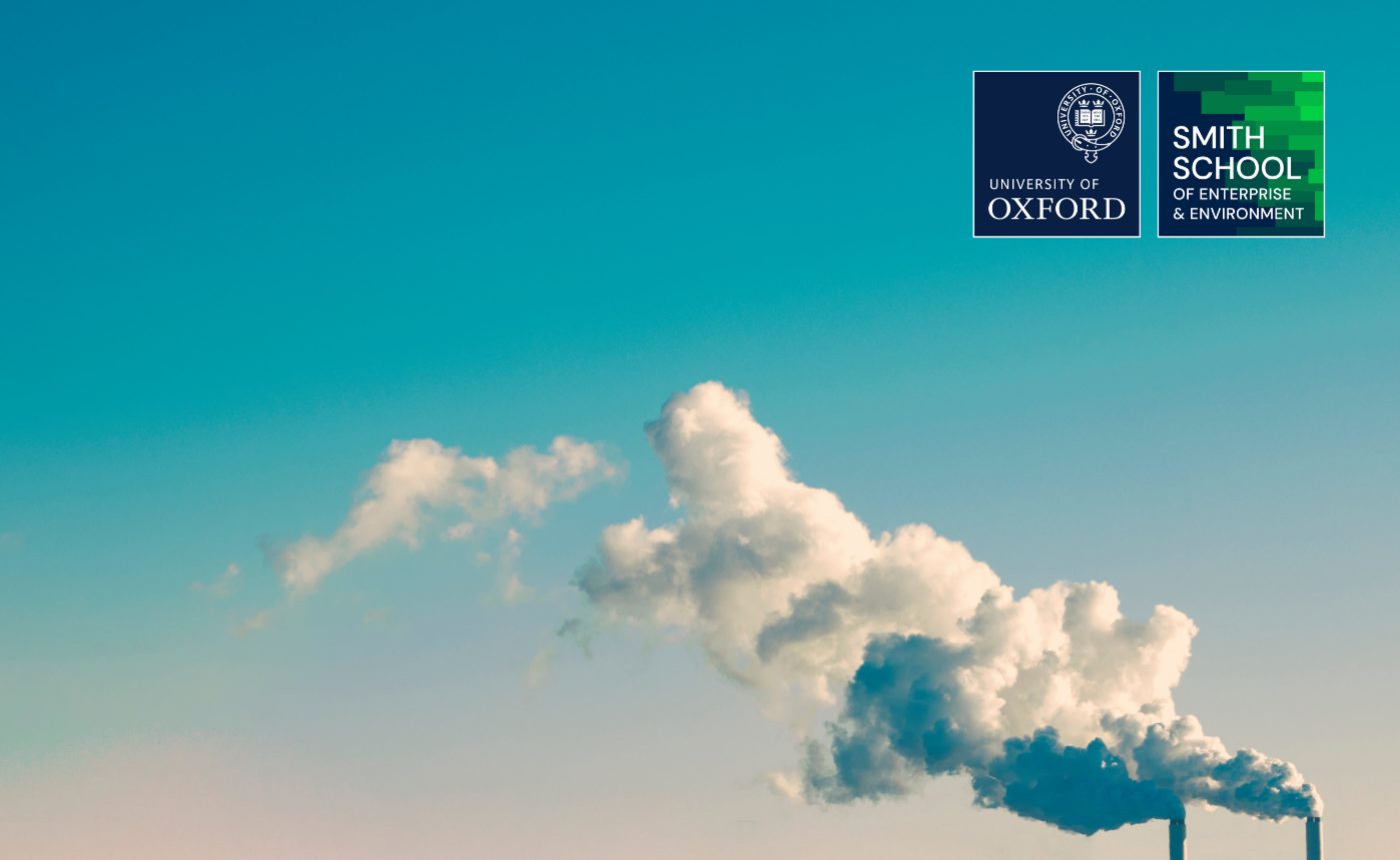 Carbon Management – Is Impact Out of Scope?
